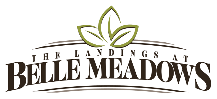 The Landings at Belle Meadows Graphic